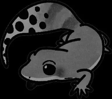 Profile image of 레오