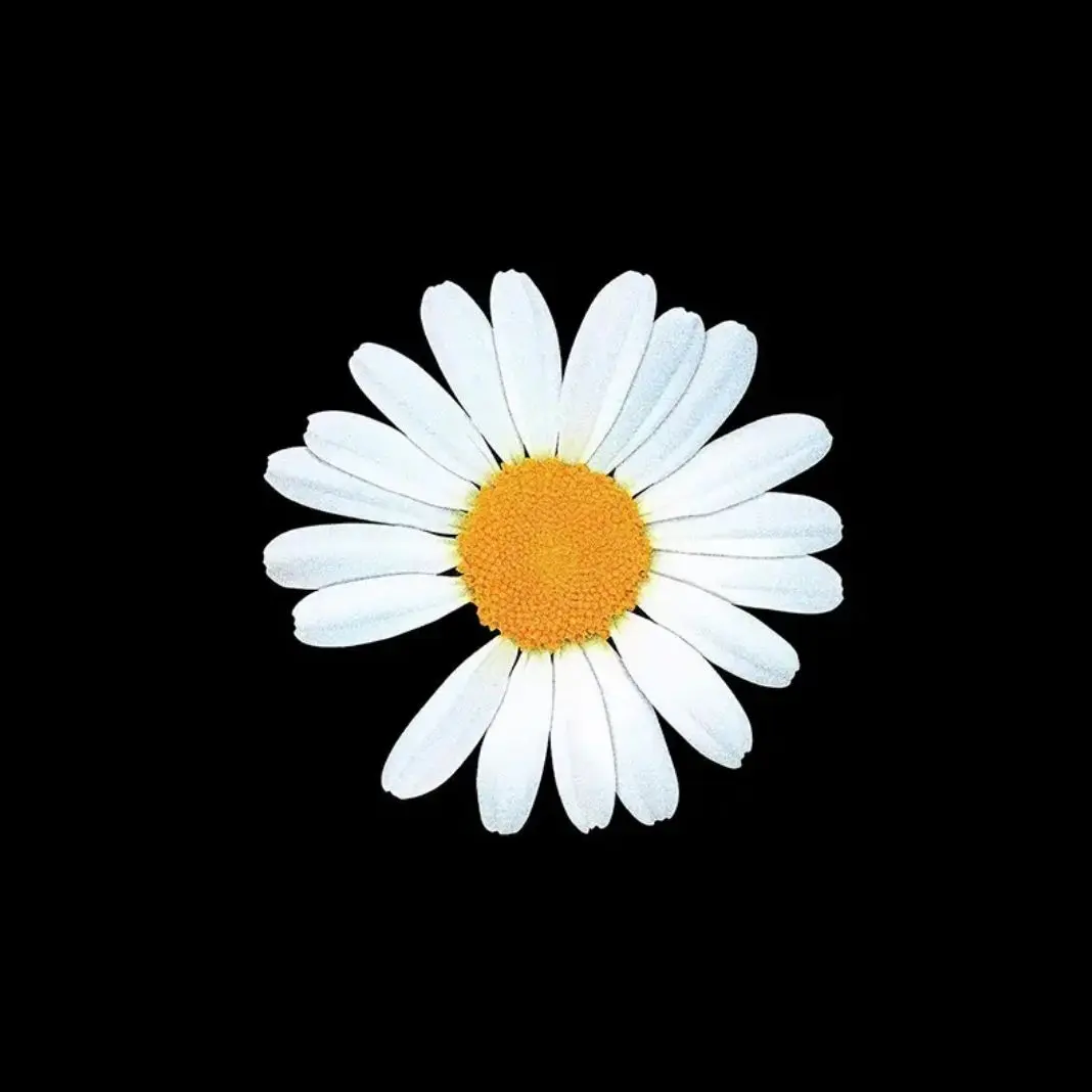 GrainyCoat0110의 토끼 권지용