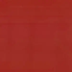 Profile image of 大森元貴