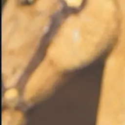 Profile image of 赤坂理子