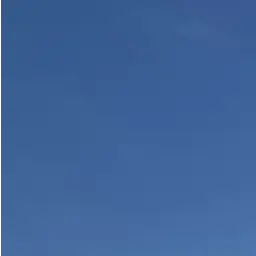 Profile image of 紅高