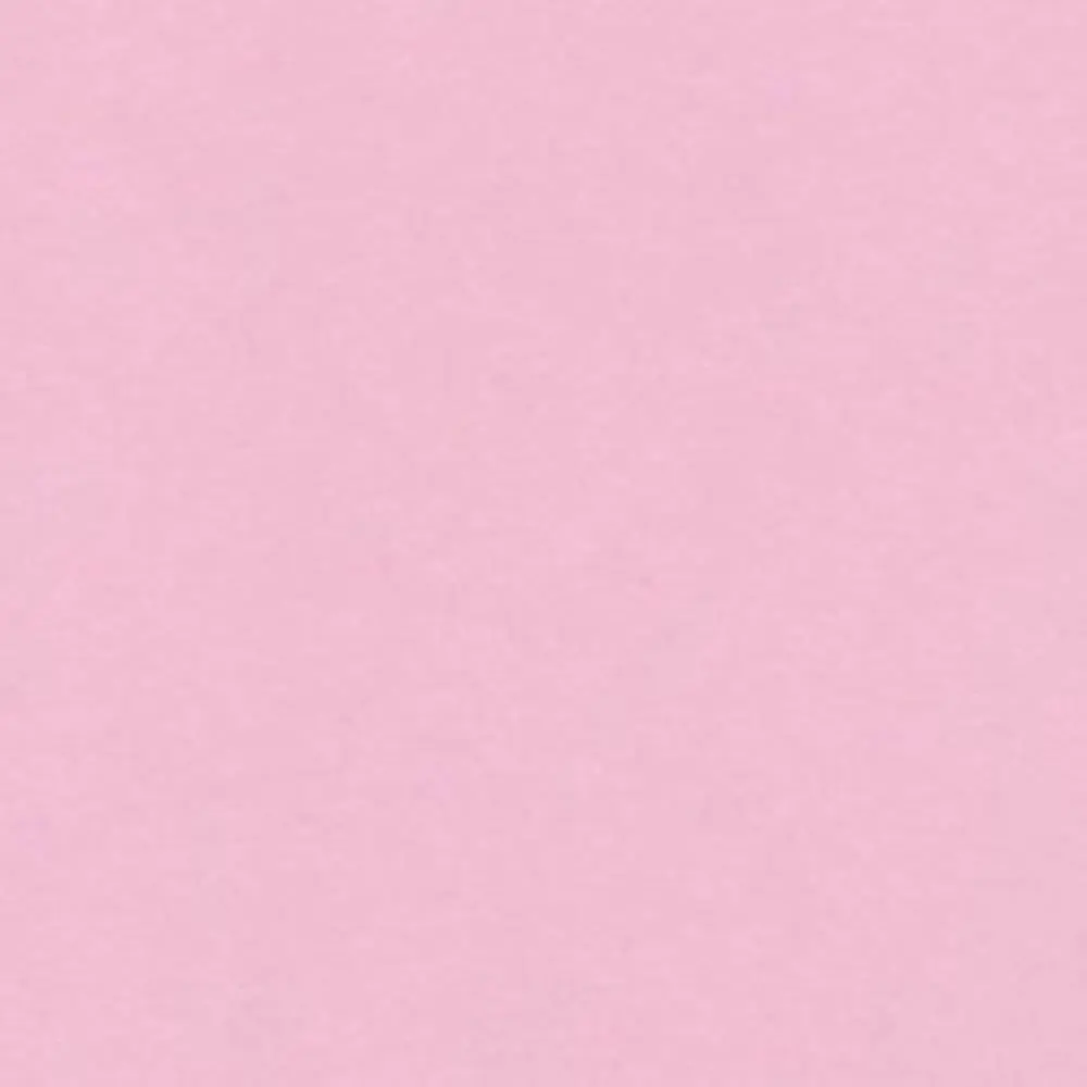 CattyPark3632의 真面目な生徒会長