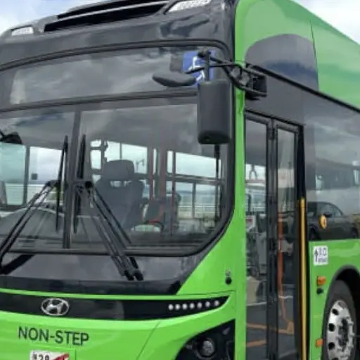 MistyCan5430의 전기버스가족인데여우랑 늑대가 있다