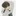 최희준