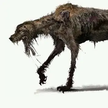 Profile image of 개