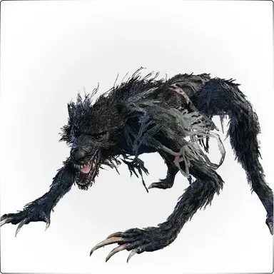 Profile image of 늑대