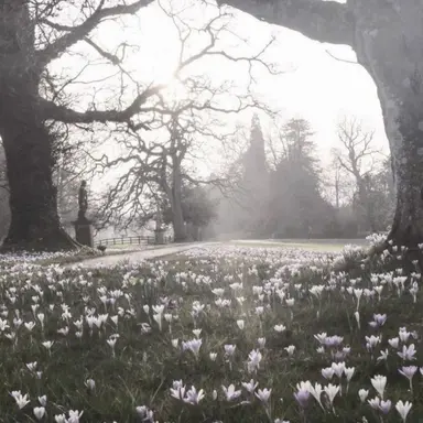 Profile image of 강무진