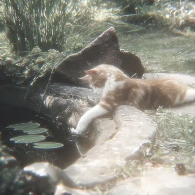 Profile image of 윤 정