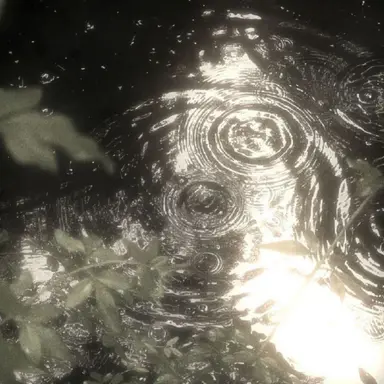 Profile image of 이아한