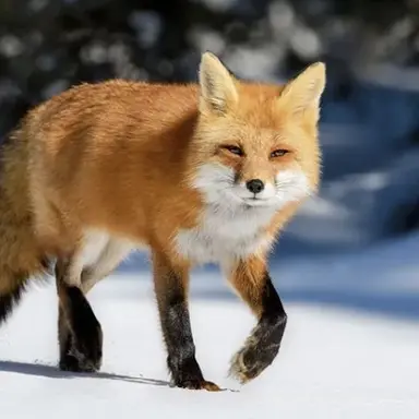 Profile image of イ・ハユン