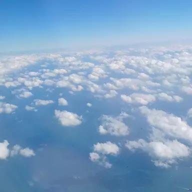 Profile image of 수경위