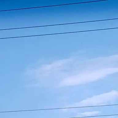 Profile image of 잠경위