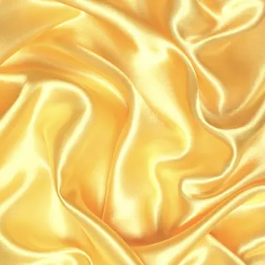 Profile image of 国王