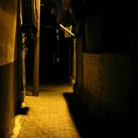 Human112055의 PIXELY - (수인)