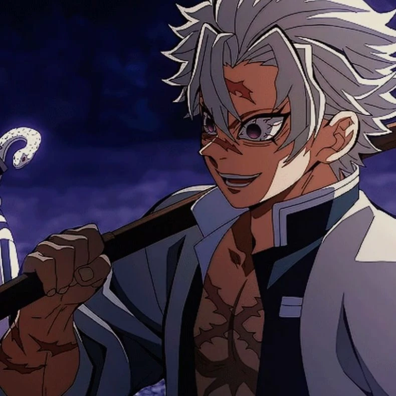 시나즈가와 사네미