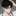 천해진
