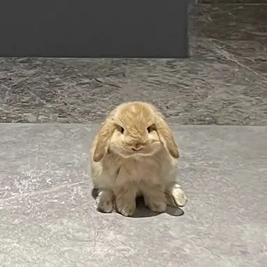 Profile image of 박성화