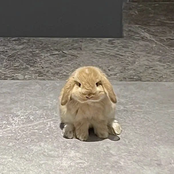 박성화