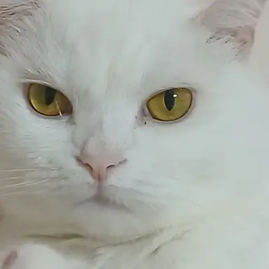 Profile image of 오징어게임2