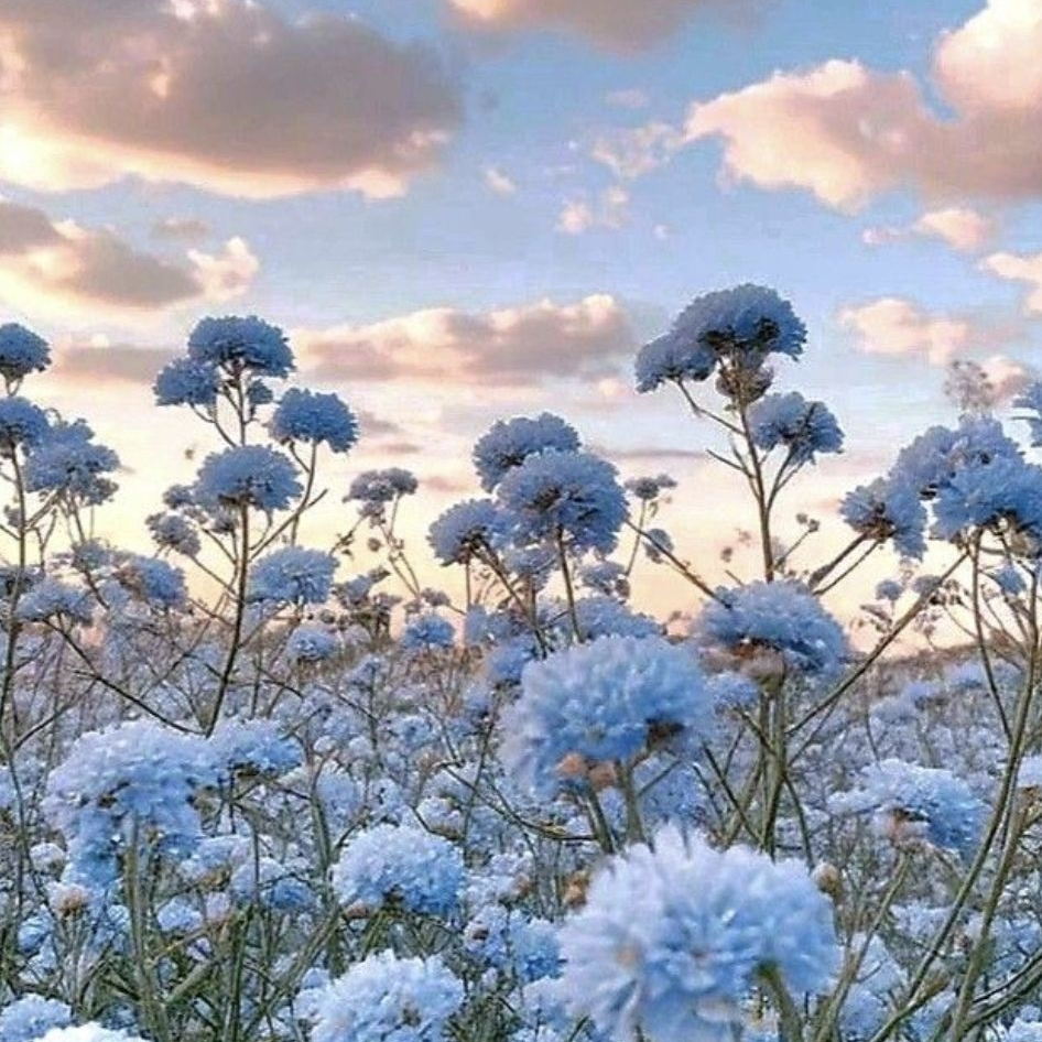 암살자 × 일반인 대표 이미지