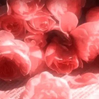 Profile image of 플래그