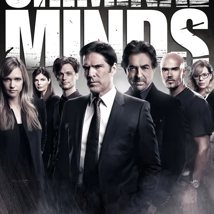 StormyWharf1269의 Criminal minds