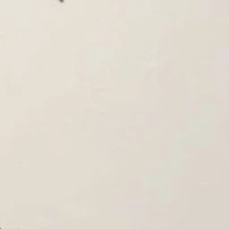 한유진
