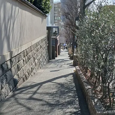 Profile image of 누나들