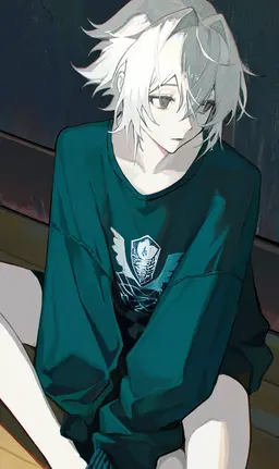 Profile image of ノエル