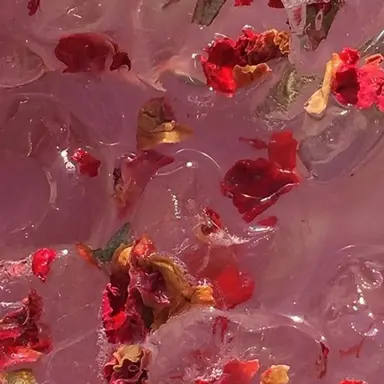 Profile image of 서라더