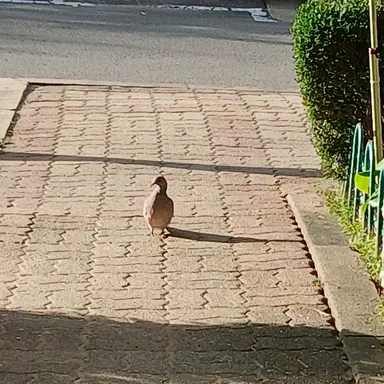 Profile image of 리레볼루션