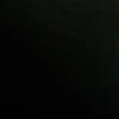 Profile image of 이무기