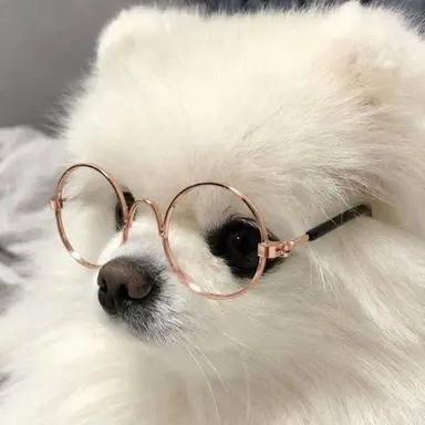 Profile image of 코코