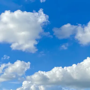 Profile image of 박우진