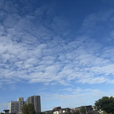 Profile image of 김혜인