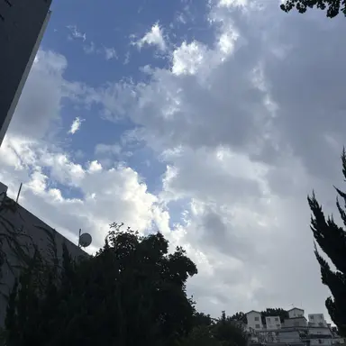 Profile image of 차진욱