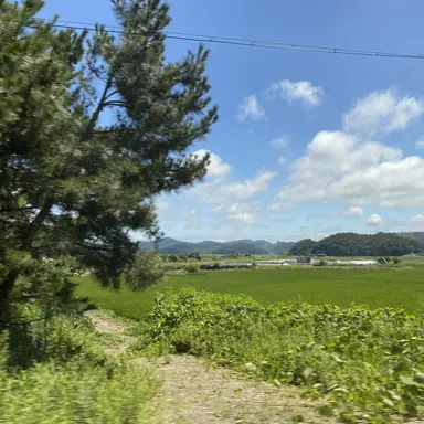 Profile image of 민율희