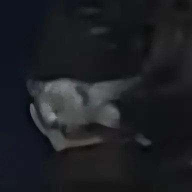 Profile image of 왕회장