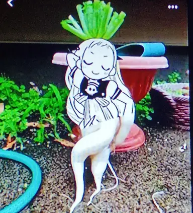 Profile image of Yashiro