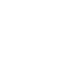 Profile image of 桐木