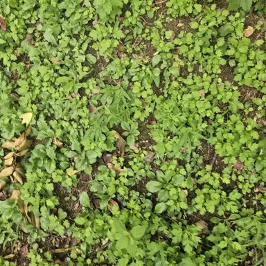 Profile image of 각별