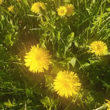 Profile image of ㅈㅇㄴ