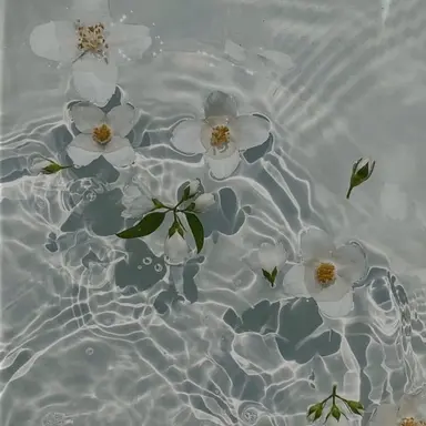 Profile image of 篠塚大輝