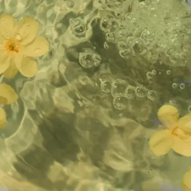 Profile image of 猪俣周杜