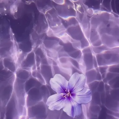 Profile image of 菊池風磨