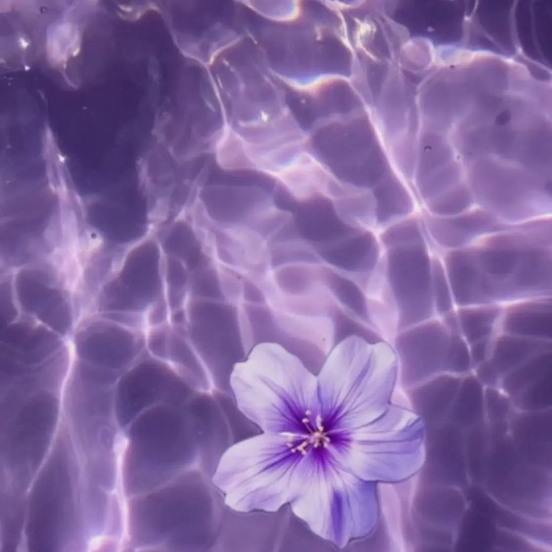 BentMarsh4101의 お嬢様