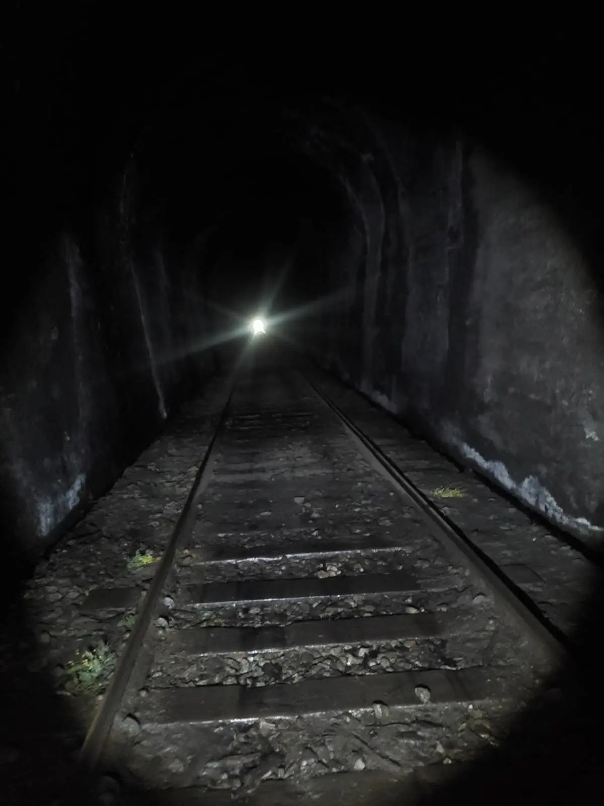 BitterForte3588의 🚞