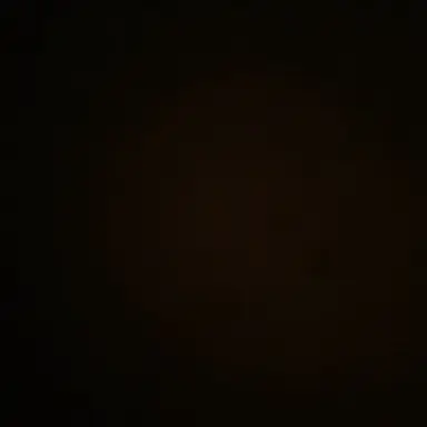 Profile image of 이상혃