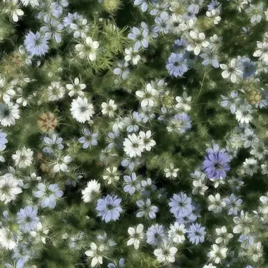 Profile image of 정하은