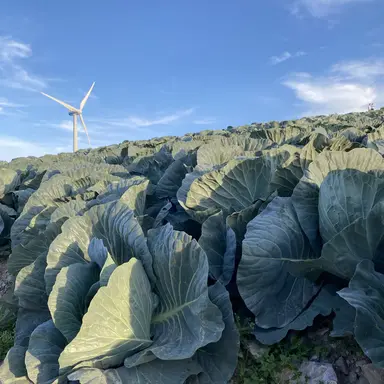 Profile image of 이름